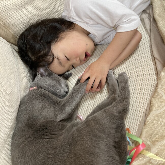 maUcoのカバー写真