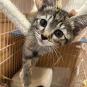 兄姉で素敵な家族に迎えてもらえました♡ベリー