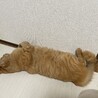 たっちゃんち