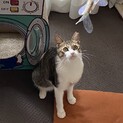 あさこちゃん