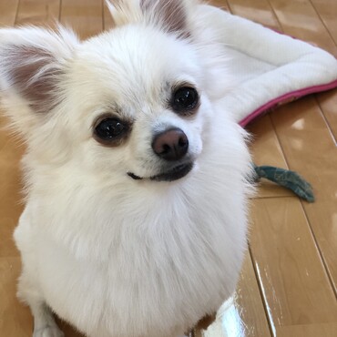 の写真