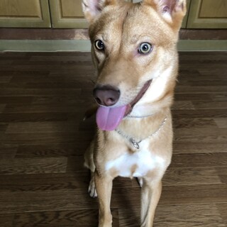 「ツヨシ」男の子