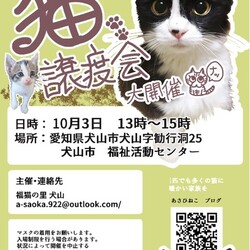 ねこの譲渡会＠犬山市福祉活動センター