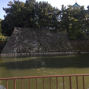 の写真