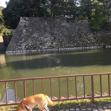 お堀を散策