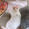 なあなみ