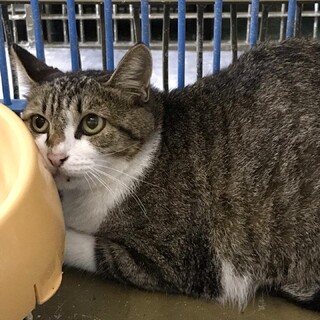 終生温かいおうちで暮らせますように