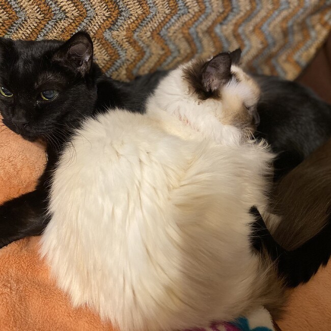 きづきのカバー写真