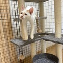 だいちゃん(仮) 優しい性格の癒し系です！