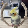 うぱはる0222