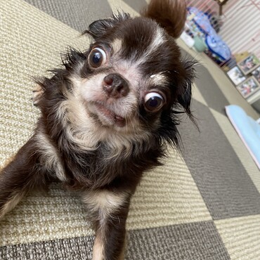 の写真