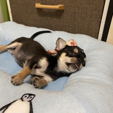 の写真