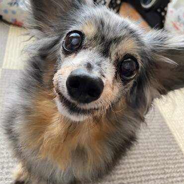 の写真
