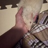 の写真