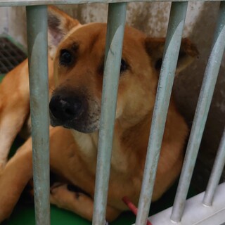 明日期限！！時間がありません！