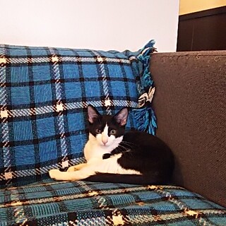 ☆遊び大好き!!少しだけツン　しずか