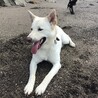 海にいったよ！