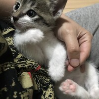 そら