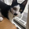 呼びました？