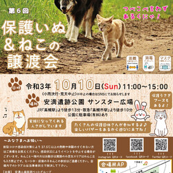 保護犬猫譲渡会