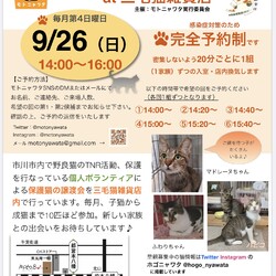 9/26（日）保護ねこ譲渡会 at 三毛猫雑貨店