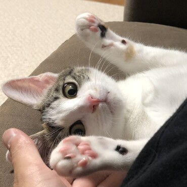 の写真