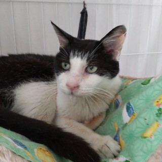 ◎シニアですが食欲モリモリ!!ジュニア君