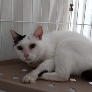 ◎ナデナデ大好女子　ヒット募集一時ストップします