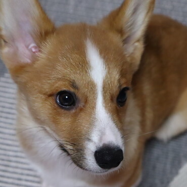の写真