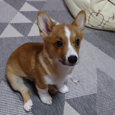 の写真