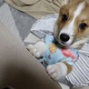 の写真