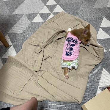 の写真