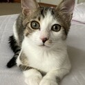 抱っこ大好き、甘えん坊のイケメン君