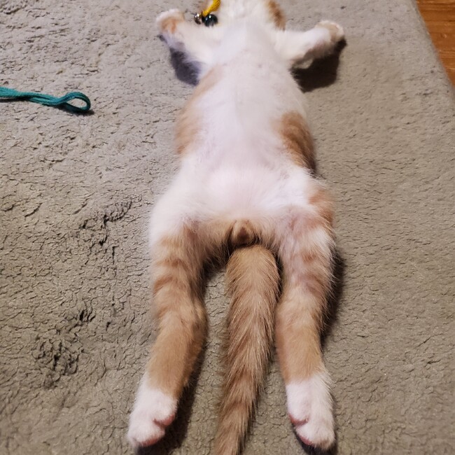 Globealのカバー写真