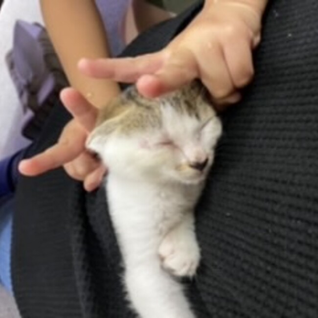 yukiota.azu.のカバー写真