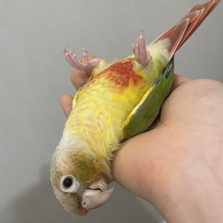 【里親さん決定！ありがとうございました。】