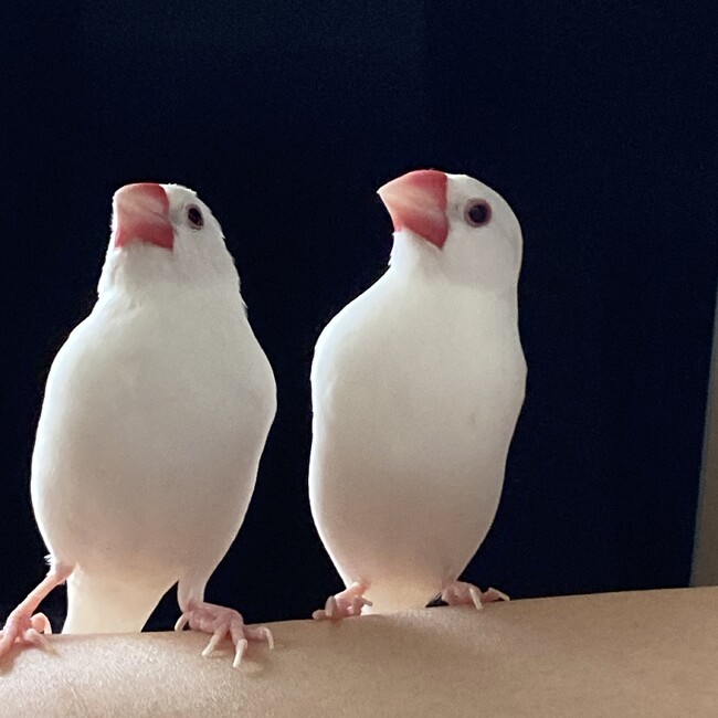 ma.namiのカバー写真