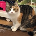 まるころむっちり❤️きぃちゃん