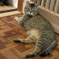 穏やかで包容力満点❤️大吉くん