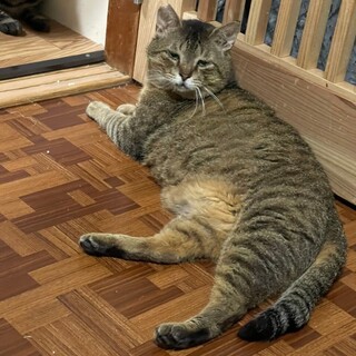 穏やかで包容力満点❤️大吉くん