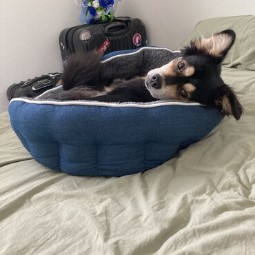 なんかよんだ〜❓