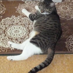 「ちゃんと飼えていますか⁈」サムネイル2