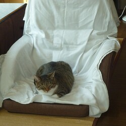 「ちゃんと飼えていますか⁈」サムネイル3