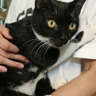 【ポッド】 おかげさまで里親様が決まりました。