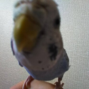 の写真