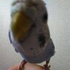 の写真