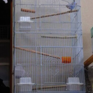 の写真
