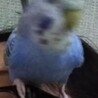 の写真