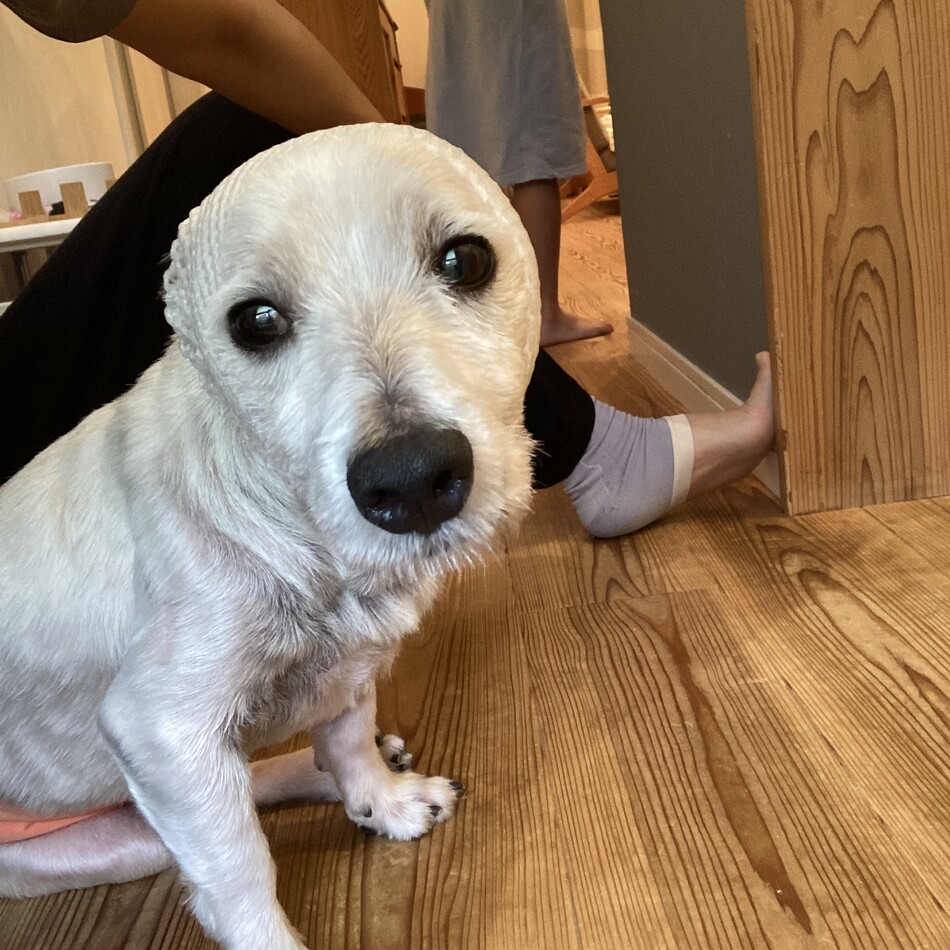 ジェイのカバー写真