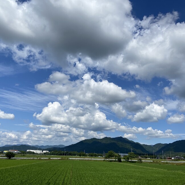 めめろくのカバー写真